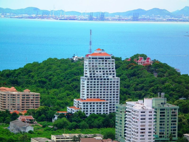 Abricole Pattaya  220836