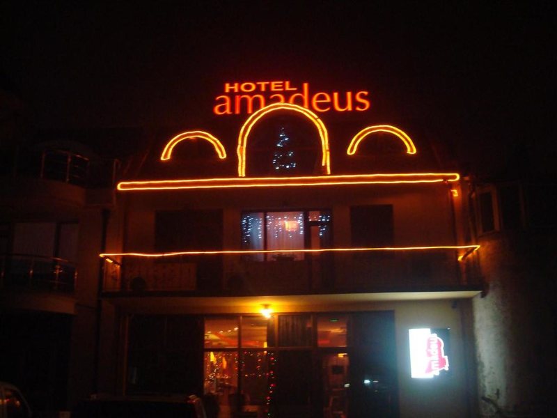 Amadeus Guest House 317163