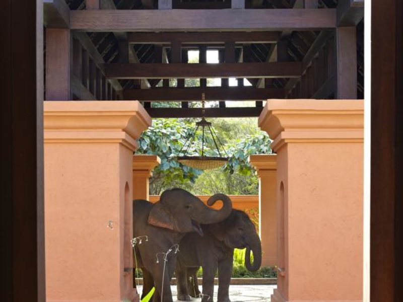 Anantara Resort Golden Triangle 148631