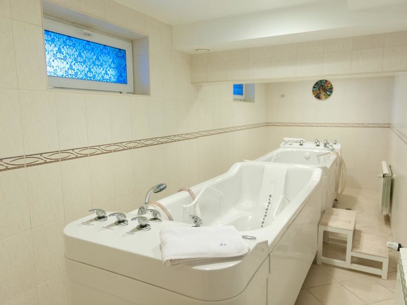 Astraea Spa Hotel  233562