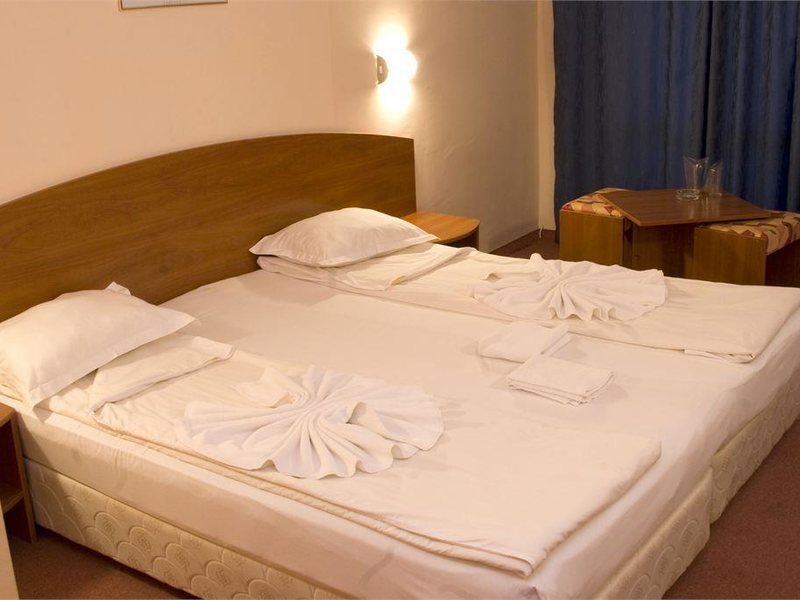 Belitsa Hotel 315466