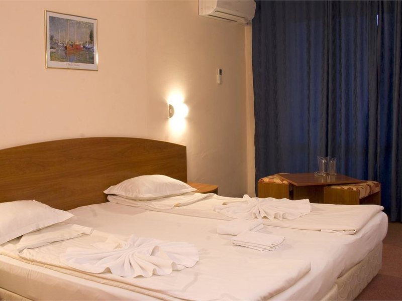 Belitsa Hotel 315467