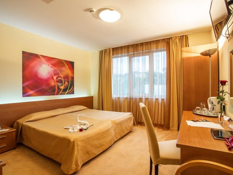 Best Western Hotel Europe 208740