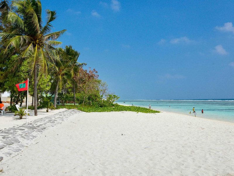 Coconut Tree Hulhuvilla Beach 324693