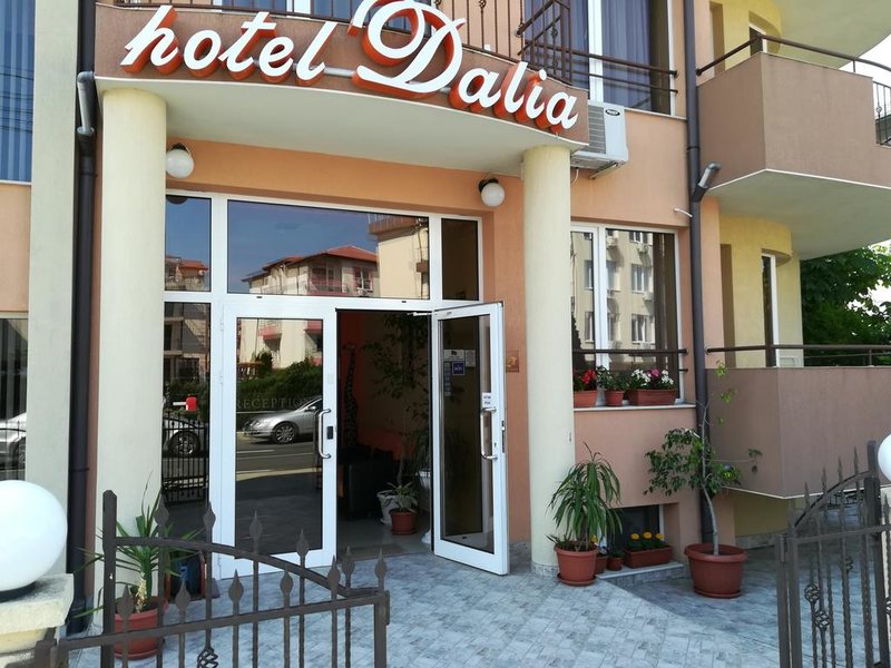 Dalia Hotel 310225