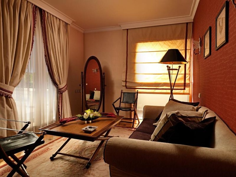 Divani Palace Acropolis 217521