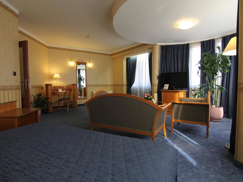 Downtown Hotel 209359