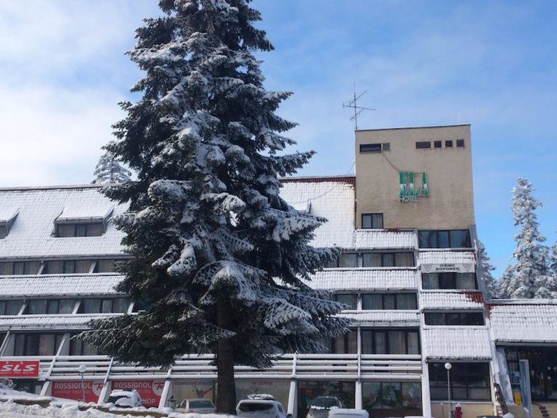 Ela (Borovets) 236301