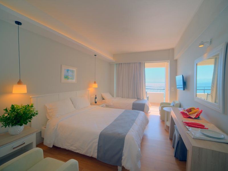 Elea Beach Hotel  249970