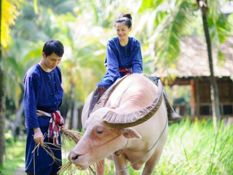 Four Seasons Resort Chiang Mai 151776