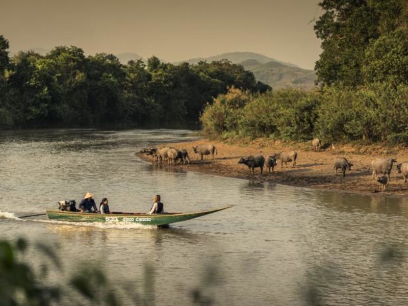 Four Seasons Tented Camp Golden Triangle  151821