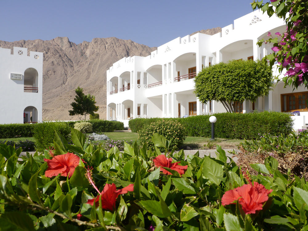 Happy Life Village Dahab 4* Єгипет Ola Travel