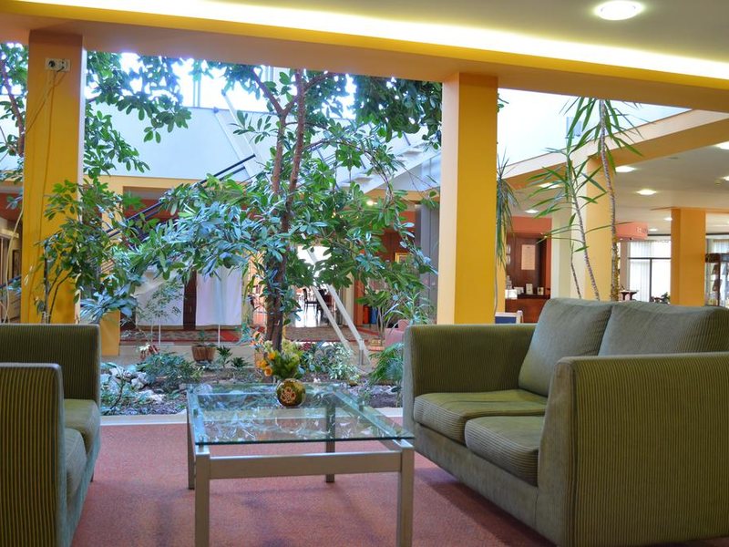 Hotel Bankya Palace 234030