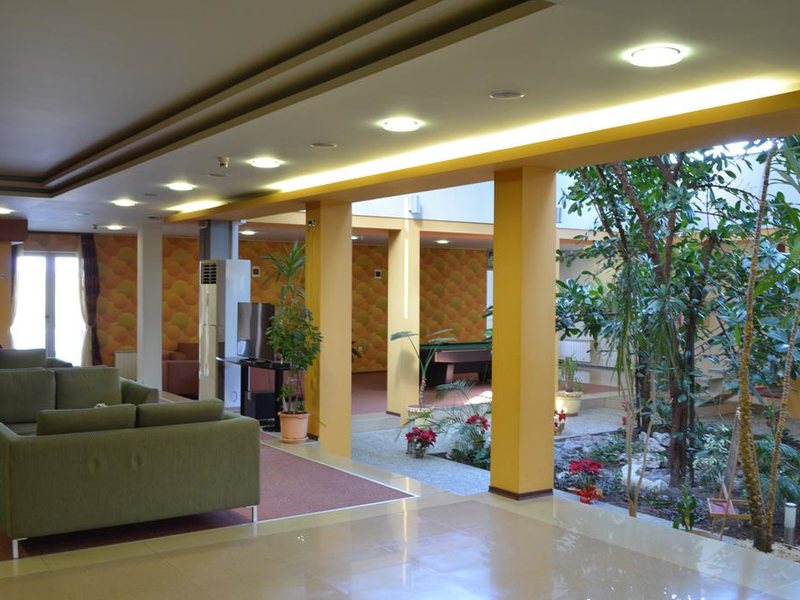 Hotel Bankya Palace 234033