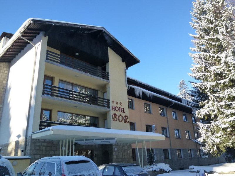 Hotel Bor Borovets 236652