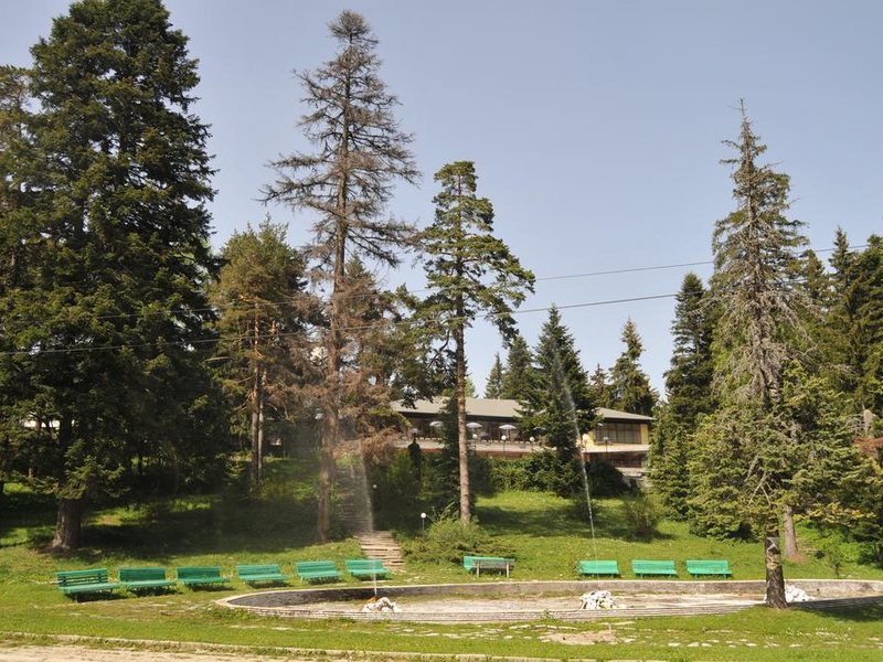 Hotel Bor Borovets 236662