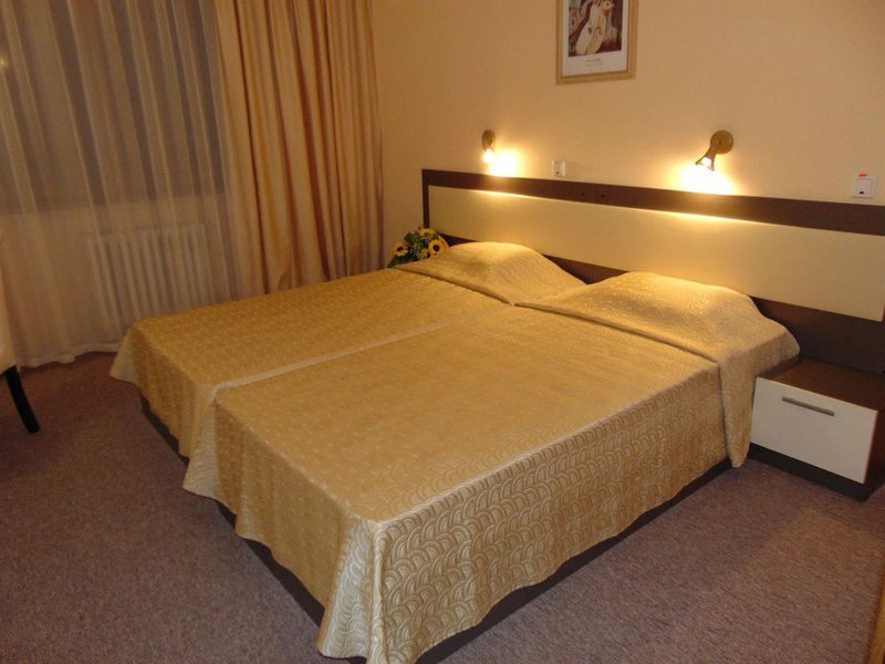 Hotel Bor Borovets 236674