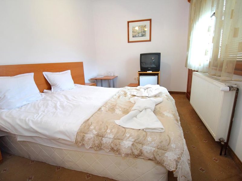 Izvora Family Hotel 311183