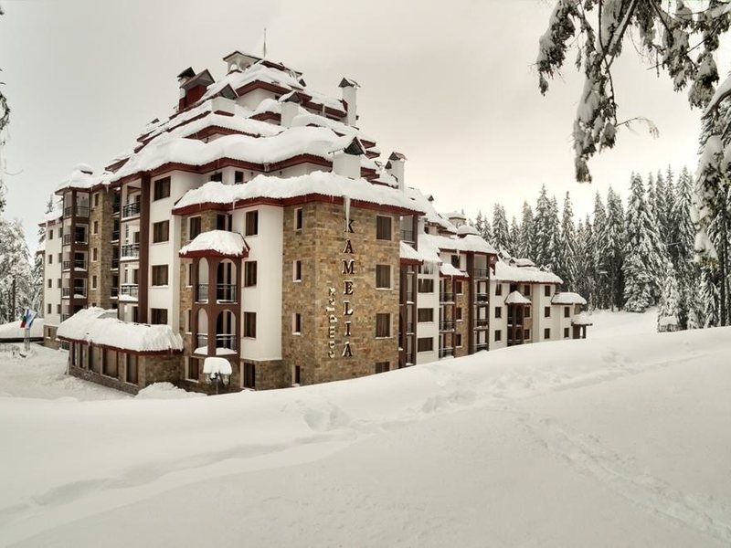 Kamelia  (Pamporovo) 311394