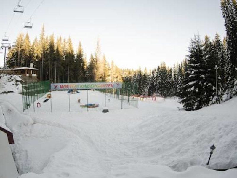 Kamelia  (Pamporovo) 311397