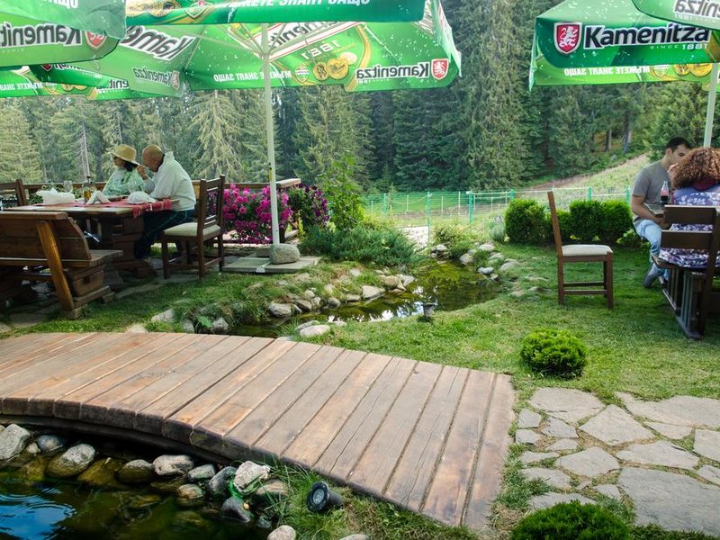 Kamelia  (Pamporovo) 311398