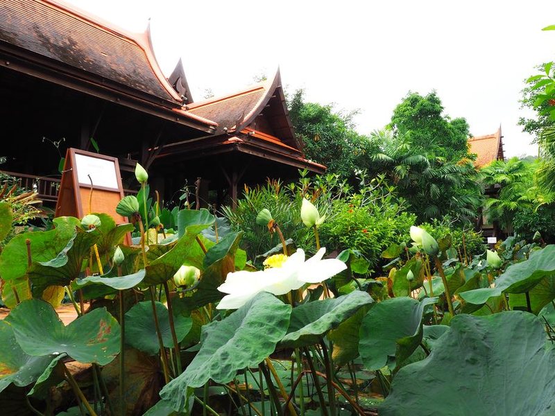 Khaolak Bhandari Resort & SPA 268542