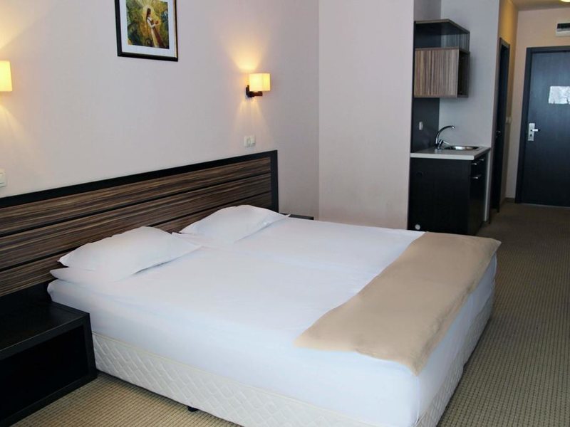 MPM Mursalitsa Hotel  312229