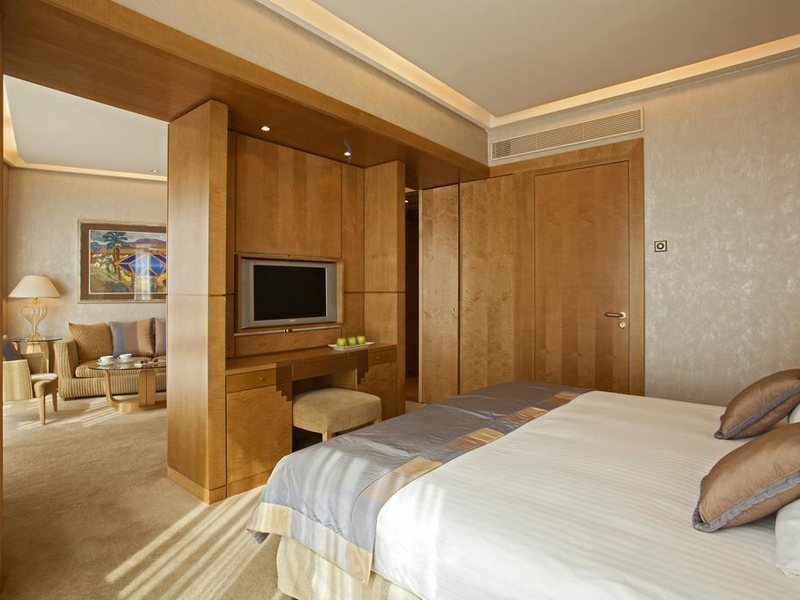 Melia Athens 218858