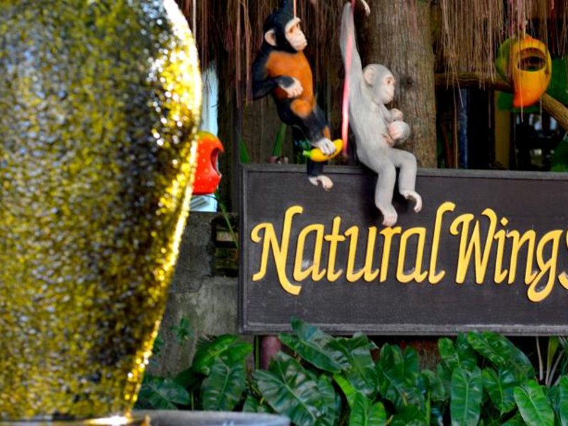 Natural Wing Health Spa Resort 142478