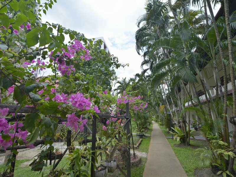 Patong Palace Hotel 245081