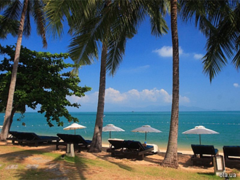 Peace Resort Samui 5169