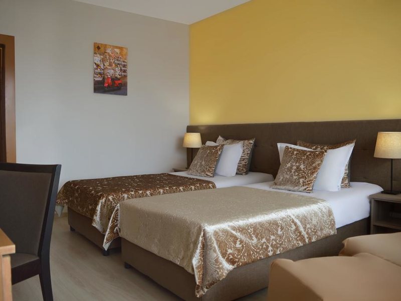 Rila Hotel Sofia 316567