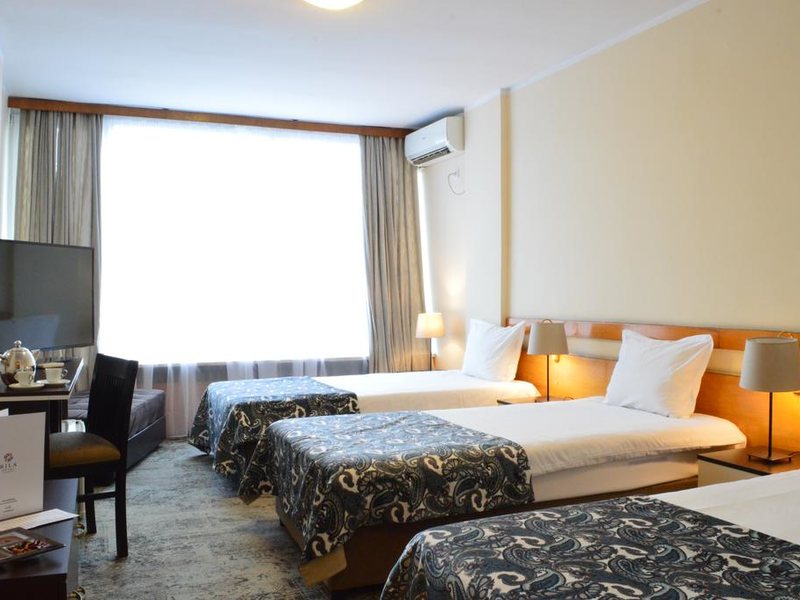 Rila Hotel Sofia 316574