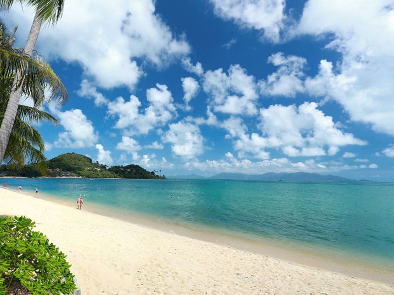 Samui Palm Beach Resort 156415