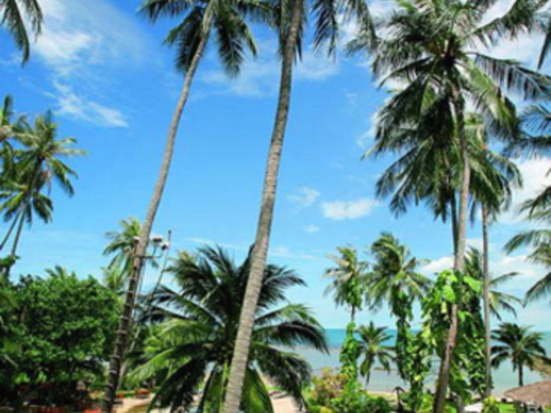 Samui Park Resort 5308