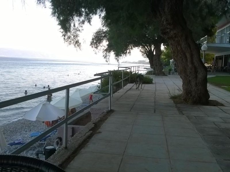 Siagas Beach Hotel 256094