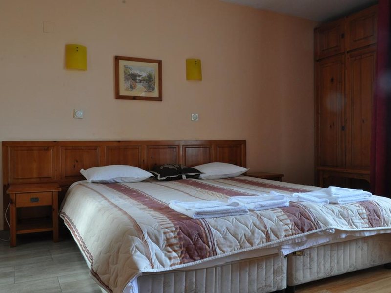 Sofia Family Hotel Bansko 313966