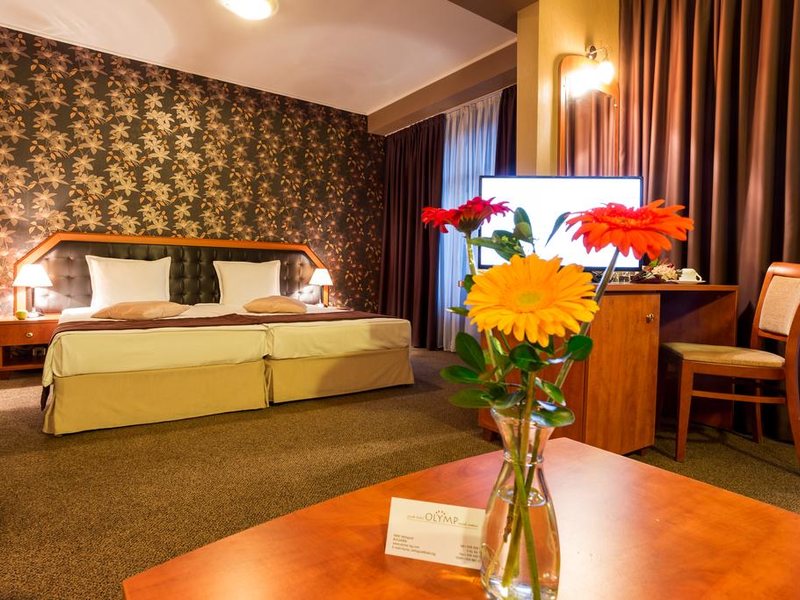 Spa Hotel Olymp 214088