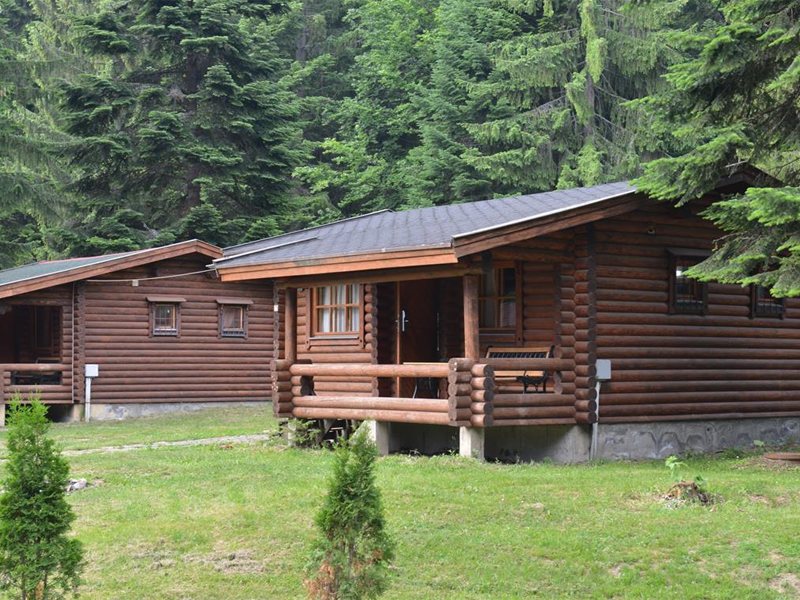 Villas Yagoda Borovets 314964