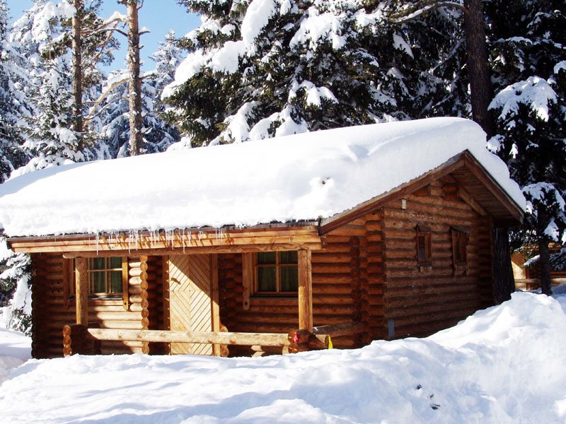 Villas Yagoda Borovets 314969