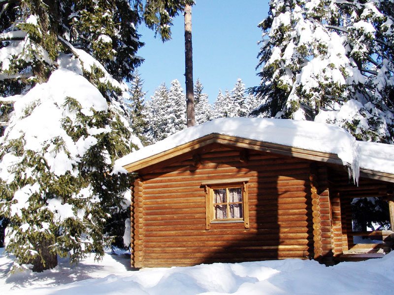 Villas Yagoda Borovets 314970