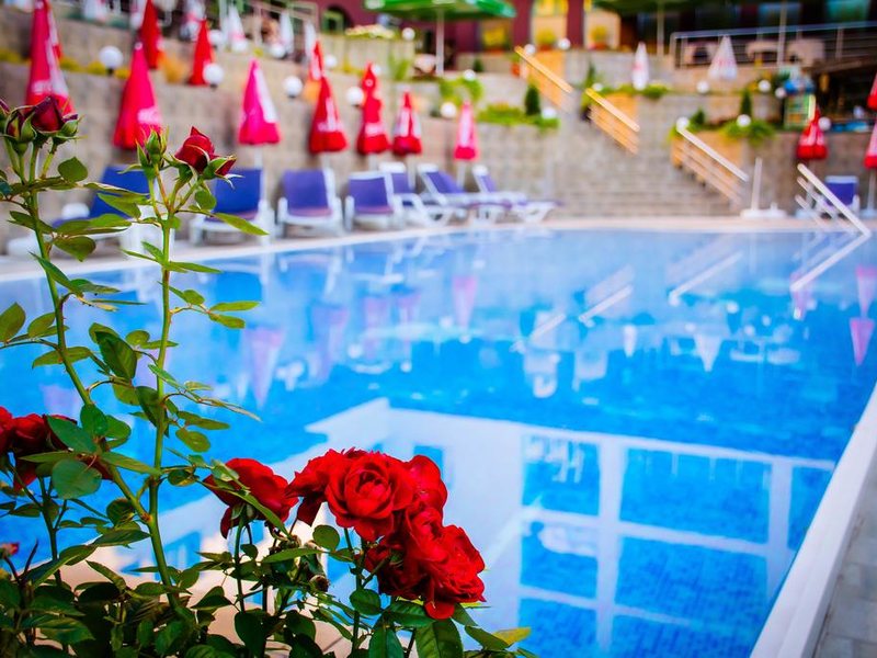 Zdravets Spa Hotel 315155